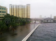Shark Swims On Bayshore Blvd in Tampa, FL after Tropical Storm Debby